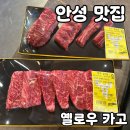 안성가 | 안성 맛집 옐로우 카고 솔직 후기