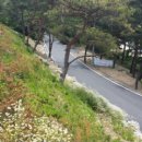 금산한국농장 이미지