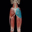 애슬레틱 서래 이미지