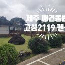 고성2119;위플레이독 | 제주 애견동반 펜션 고성2119 위플레이독 성산 숙소