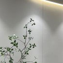 첨단살롱 | 트렌디한 공간에서 인생 머리 찾은 찐 후기! 하울살롱 첨단점 강추!