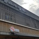 준스시참치 이미지