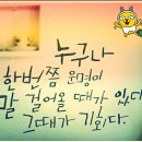 샤르망헤어 네이버블로그