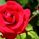 곡성-089 이미지