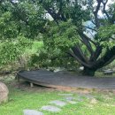 세자트라(방문자센터) 이미지