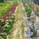 어천농장 이미지