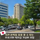 마이피스 | 히로시마 호텔 추천 위치 원폭돔뷰 마이스테이스 피스파크