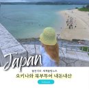 북부지하차도위1 | 코우리대교 맛집 포함 오키나와 북부 일일 버스 투어