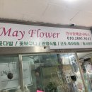 메이마트