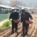 대지농산 이미지