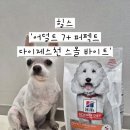 퍼펙트바이트 | 시니어 강아지사료 추천! 힐스 어덜트7+ 퍼펙트다이제스천 스몰 바이트 1.6kg 후기