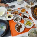 더 코지 이미지