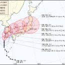 태풍정보(9호태풍 '말로') 이미지