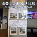 다온민박 | 울릉도 여행 숙소 추천, 도동 근처 다온 프라임 호텔 좋은데?