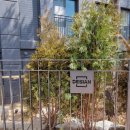 중동해링턴공인중개사사무소 이미지