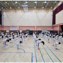 용인대 꿈나무 태권도장 이미지