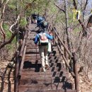 구봉산농장 이미지