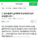 장수풍뎅이 날개에 하얀 거슨 이미지