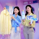 미모사패션 이미지