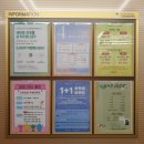 나리안길 군민스포츠센터 이미지