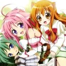 도그판타지 이미지