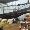 동중농장 이미지