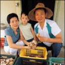 후계자 농장 이미지