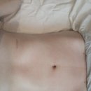 테디스 에스테틱