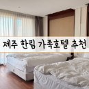 라온목장 | 제주 가족여행 숙소 아이와 함께라면 라온호텔 주니어 스위트룸