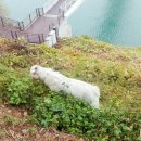 안온 민박 이미지