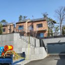 이백 하우스 | 경기 용인 라온마을3차 타운하우스 수목병충해 예방을 위한 단체 수목소독