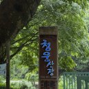 비로산장 | 원주 계곡식당 금대리 청운산장