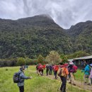 초록숲 하우스 | 밀포드 트레킹 2일차, 글레이드 하우스에서 폼포로나 롯지까지 태고의 숲길을 걷다