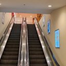 에이스카프라자 이미지