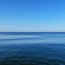 바다로부터의 인사 네이버블로그