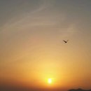 휴가펜션 - 강릉시 해안로 653-1 | 휴가펜션