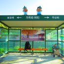 외서 우산재 티스토리