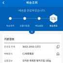황웰빙 | [오리온 촉촉한 황치즈칩] 신상 과자 솔직후기! 칼로리 가격 맛있게 먹는 꿀팁 총정리 (feat. 내돈내산...
