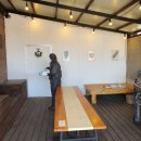 달빛바라기 이미지