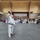 칼슨그레이시 코리아 이미지