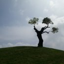 대명골프 이미지