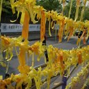 안산시 재향군인회 이미지