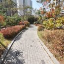 관저어반힐스 이미지