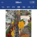 유*기 이미지