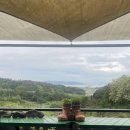 별헤는 몰랑 이미지