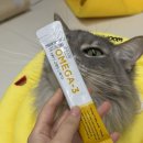 프롬벳 | 프롬벳 - 오메가3 순수 스틱 고양이 피모 영양제