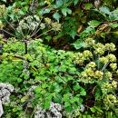 산골짜기 이미지