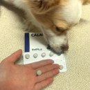 우리 아이 사회성 플러스(1차시) | 강아지스트레스해소영양제 추천 벳플러스 칼멕스 강아지안정영양제 후기