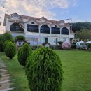 사랑애견펜션 이미지