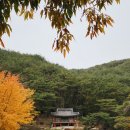 수승대 오토캠핑장 이미지